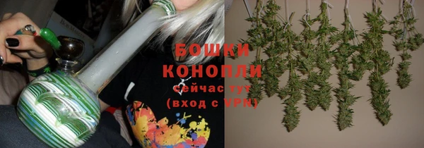 2c-b Дмитриев