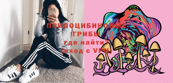 дурь Армянск
