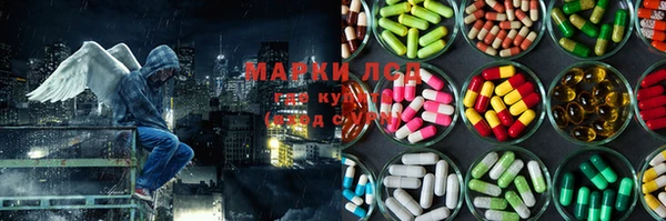 винт Аркадак
