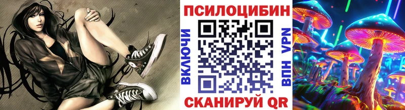 shop официальный сайт  Палласовка  Псилоцибиновые грибы Psilocybe  наркотики 